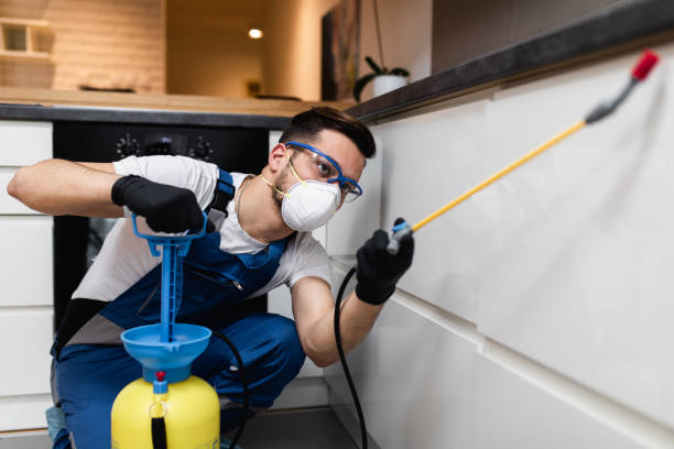 Best Cockroach Control Services  in Mcchord Af, WA