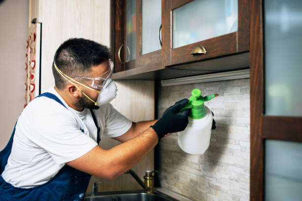 Wasp Removal Services in Mcchord Af, WA