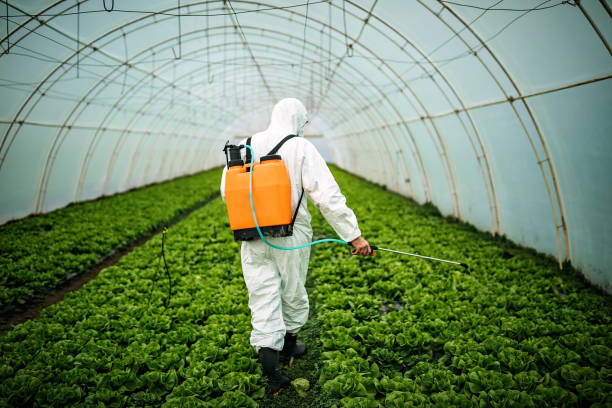 Best Pest Prevention Services  in Mcchord Af, WA