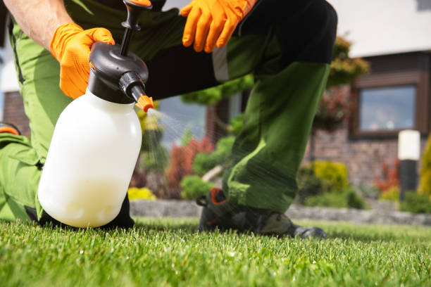Best Bed Bug Extermination  in Mcchord Af, WA