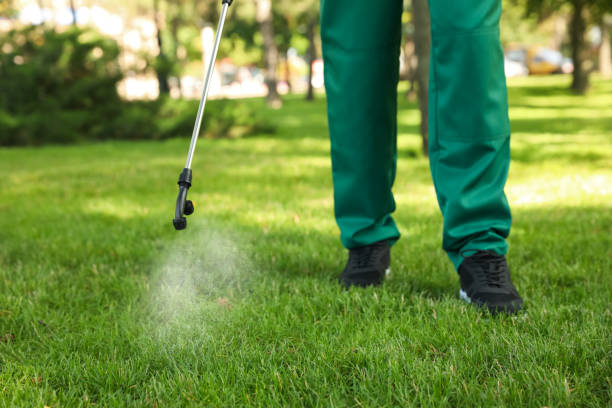Best Wasp Removal Services  in Mcchord Af, WA