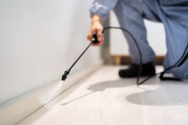 Best Emergency Pest Control  in Mcchord Af, WA
