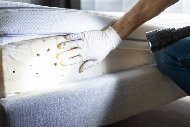 Best Exterminator Services  in Mcchord Af, WA