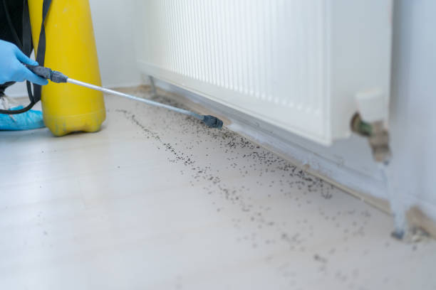 Best Wildlife Control Services  in Mcchord Af, WA